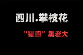 四川攀枝花黑老大，10年流水33亿，被抓后叫嚣：你能把我怎样视频封面