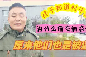 村干部催交新农合的原因找到了，老百姓误解他们了，真实原因无奈视频封面