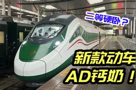 未来的绿皮车?新款复兴号“AD钙奶”硬卧全体验视频封面