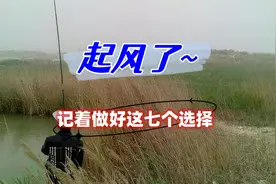 深秋钓鱼遇刮风天怎么办？做好这7个选择，使你钓鱼无忧视频封面