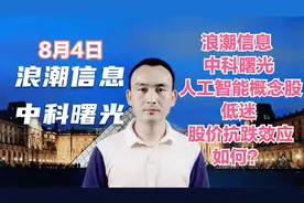 浪潮信息 中科曙光 人工智能概念股低迷 股价抗跌效应如何？视频封面