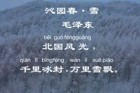 江山如此多娇，引无数英雄竞折腰。--毛泽东《沁园春·雪》视频封面