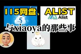 115网盘、alist与小雅的那些事
