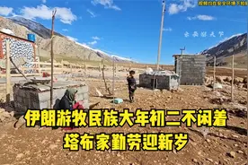 伊朗游牧民族大年初二不闲着，塔布家勤劳迎新岁视频封面