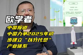 欧学者：中国报道中国力争2025年初步建立“以竹代塑”产业体系视频封面