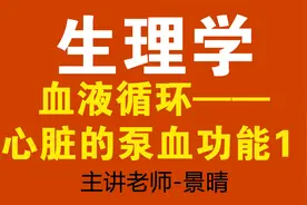 人体生理学，血液循环，心脏的泵血功能1。景晴视频封面
