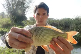小莫分享全自动钓鱼神器，几分钟就能上货，捕鱼效率太牛了视频封面