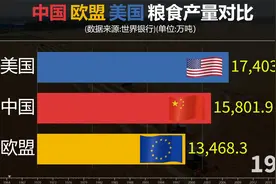 中国欧盟美国粮食产量对比，稳坐钓鱼台！视频封面