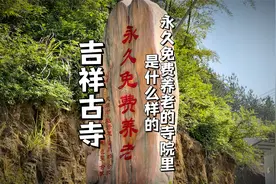永久免费养老？这家佛教寺院是有怎样的底气才可以说出来这样的话视频封面