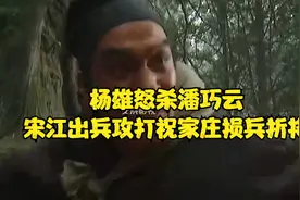 杨雄怒杀潘巧云 宋江出兵攻打祝家庄损兵折将视频封面