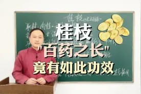 百药之长桂枝，竟然有这么多功效视频封面