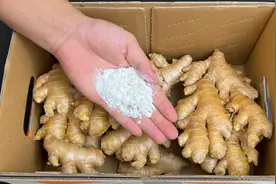保存生姜原来这么简单，放1年和新鲜的一样，随吃随取一点不浪费视频封面