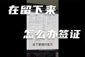 在留下来，教大家怎么从官网办签证视频封面