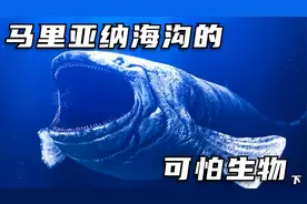 在马里亚纳海沟的最深处，究竟都隐藏着哪些可怕的生物？视频封面