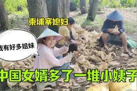 娶个柬埔寨老婆，没想到这么多小姨子，网友：你真是赚大了！视频封面