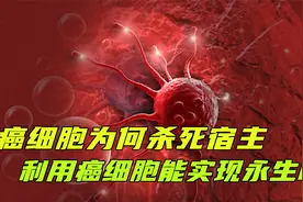 如果能扛住癌细胞，真的可以永生吗？为何癌细胞会和人类同归于尽视频封面