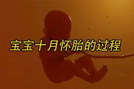 宝宝十月怀胎的过程视频封面