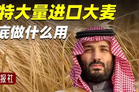 我们进口玉米大豆，为啥沙特拼命进口大麦？到底做什么用？视频封面