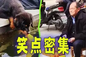 爆笑解说：大爷在路边尝自己卖的橘子，表情亮了！视频封面