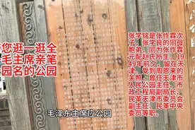 被退休的老马带您逛逛全国毛主席唯一题名的公园---天津人民公园视频封面