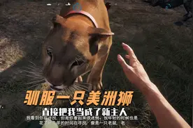 孤岛惊魂：今天，驯服了一只美洲狮视频封面