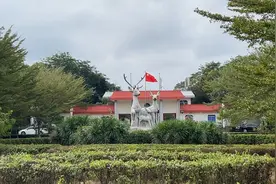21　大田坡鹿不开放了！视频封面