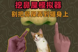 奇葩游戏：挖鼻屎挖出UFO和奶牛！鼻子里还有哪些好玩的东西？视频封面