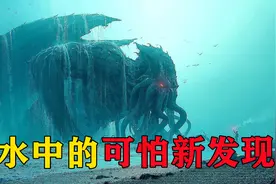 水中可怕的新发现，在河边发现的奇怪生物，官方人员秘密转移！视频封面