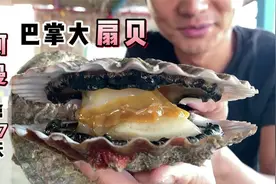 《环球探海记》阿曼 第27天；今天赶海收获了好多巴掌大的扇贝！视频封面