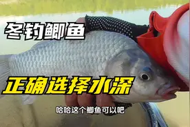 冬季钓鲫鱼要钓深还是浅？老钓友偷偷告诉你，这样做上鱼很轻松视频封面