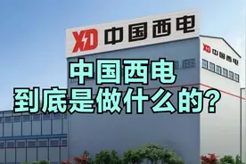 中国西电到底是做什么的？这么坚挺视频封面
