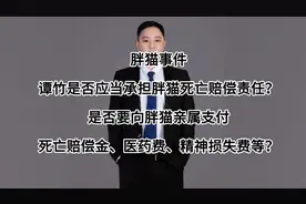 肥猫事件，谭竹是否承担胖猫的死亡赔偿责任，暨死亡赔偿金等。视频封面