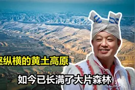 黄土高原长不出树？中国用了70年来治沙，如今已经长满了大片森林