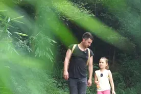 终于知道大熊猫为什么在四川了，因为一年四季都有鲜笋吃#竹笋视频封面