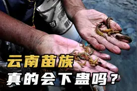 云南蛊虫真实存在，老一辈却闭口不谈？苗疆少女的情蛊有多厉害！视频封面