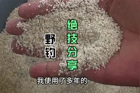 野钓百试百爽的钓鱼方法，比钓友都钓得多，掌握好钓鱼技巧就可以视频封面