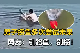 男子偶遇大鱼漂浮岸边，多次打捞都没成功，网友：引路鱼，别捞！