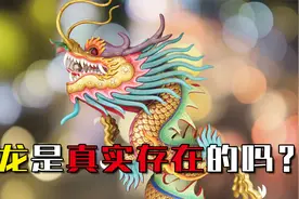 十二生肖里十一个都真实，为什么唯独龙，那么不确定？视频封面