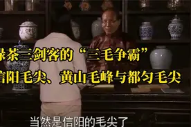 信阳毛尖、黄山毛峰与都匀毛尖，你分得清吗？视频封面