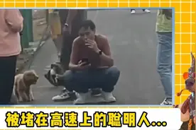 当代网友为了放假提前回家有多拼？#已经提前练习放假离开方式了