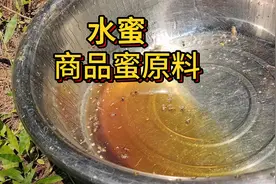 分辨蜂蜜真假，水蜜可以浓缩视频封面