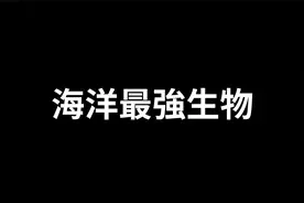 2021-06-16｜碰到就玩完了 世界上最可怕的十大海洋生物｜视频封面