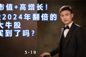 低市值+高增长，A股2024年翻倍的十大牛股，你买到了吗？视频封面