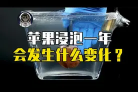 如果将苹果浸泡在水中一年，会发生怎样的变化？视频封面