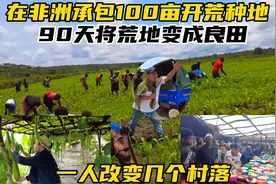 在非洲承包100亩开荒，90天将荒地变成良田，一人带动几个村落视频封面