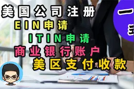 📆从美国公司注册到银行开户Stripe和PayPal支付一条龙视频封面