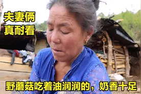 尼泊尔丛林人家还是会做吃的，辣口凉菜下饭，辣得过瘾米饭都不够视频封面
