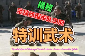 揭秘: 全球各国军队中的特训武术视频封面
