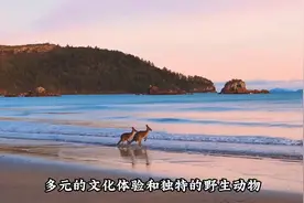 澳大利亚到底是怎样一个国家？12分钟视频带您了解它！