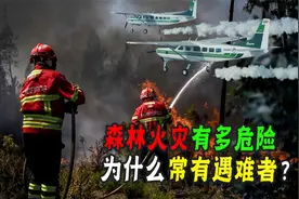 美国山火烧两月，澳洲山火连烧了八月，中国山火五天就扑灭！视频封面